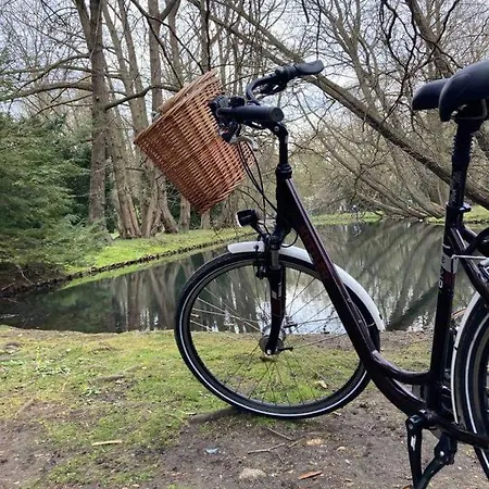 Letniskowe Lesne Na Kaszubach Z Basenem, Sauna, Balia Nad Jeziorem Wdzydzkim *