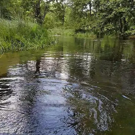 Letniskowe Lesne Na Kaszubach Z Basenem, Sauna, Balia Nad Jeziorem Wdzydzkim *