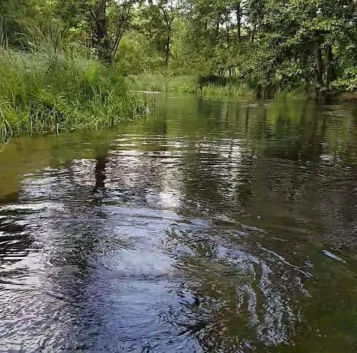 Letniskowe Lesne Nad Jeziorem Wdzydzkim Basen Sauna Balia *