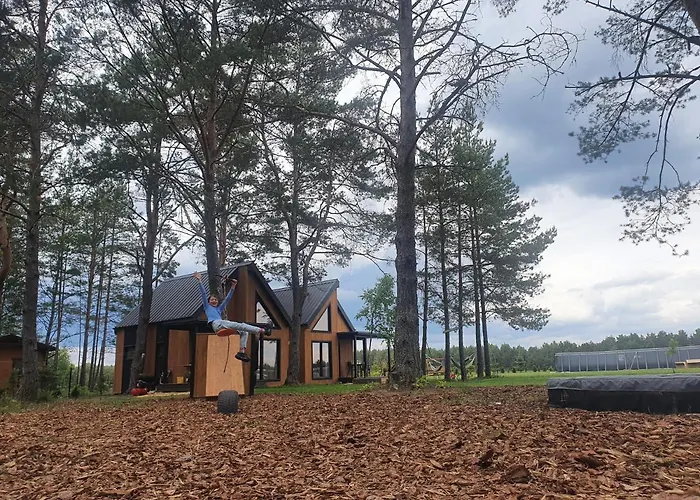 Letniskowe Lesne Nad Jeziorem Wdzydzkim Basen Sauna Balia Semesterbostad *