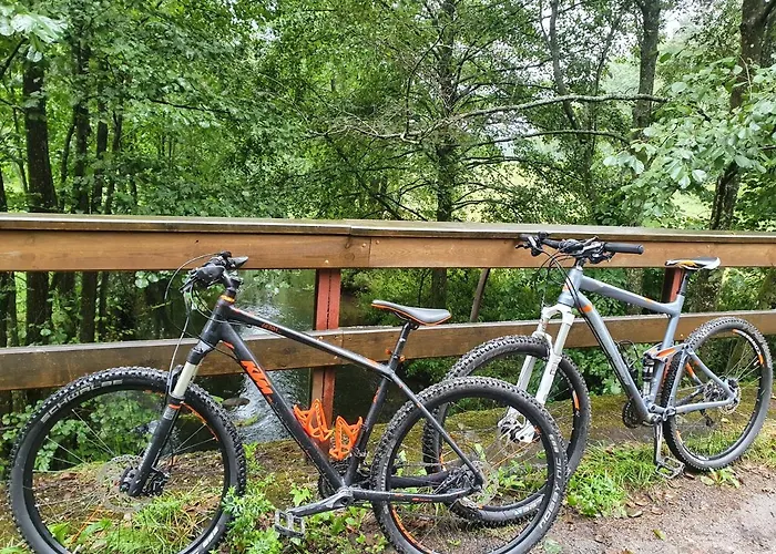 Letniskowe Lesne Nad Jeziorem Wdzydzkim Basen Sauna Balia Semesterbostad