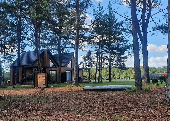 Letniskowe Lesne Nad Jeziorem Wdzydzkim Basen Sauna Balia Borsk